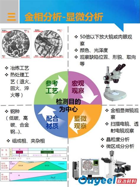 何謂金相|金相學